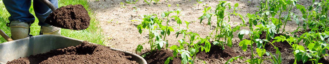 Bij het aanplanten van een tuin is het belangrijk dat de bodem en bemesting geschikt zijn voor het soort plant of boom die in de tuin komt te staan