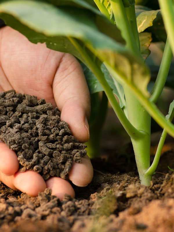 Zorg ervoor dat uw planten de juiste bemesting krijgen op het juiste tijdstip. Bij vragen kunt u gerust contact opnemen met de klantenservice