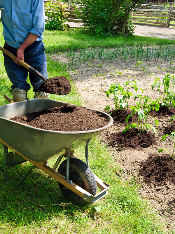 Gebruik bij het planten de juiste aarde en zorg voor de juiste bemesting in uw tuin
